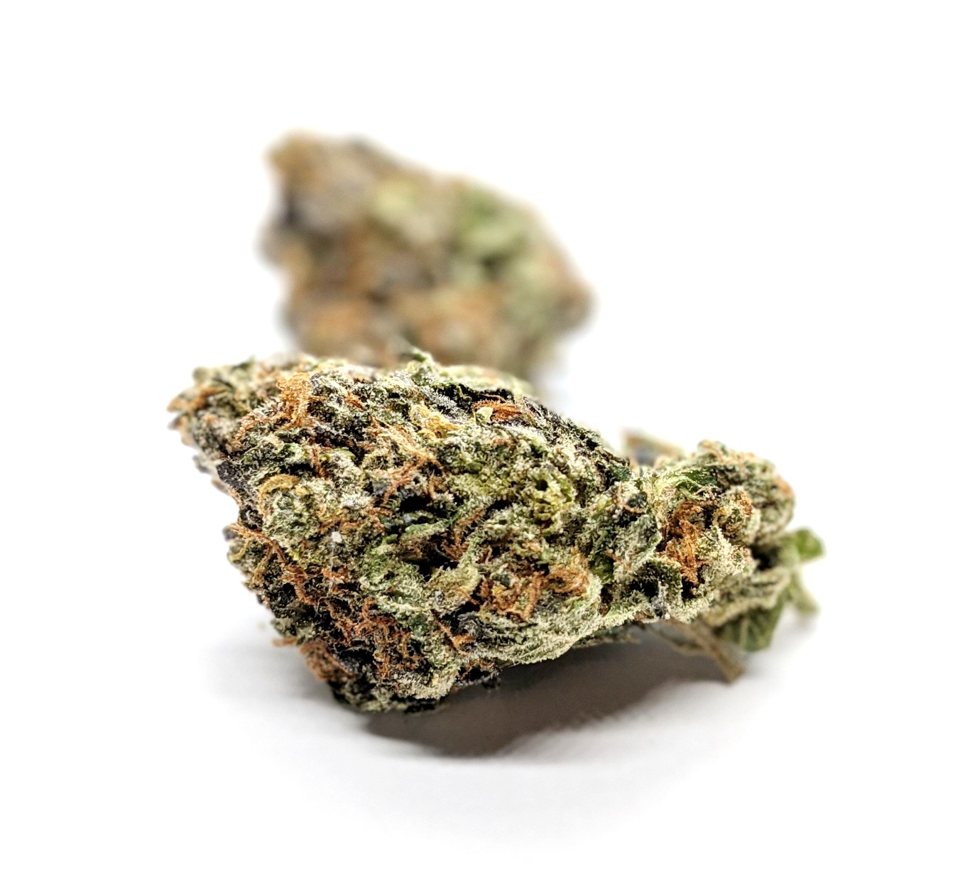 grape island skunk 110